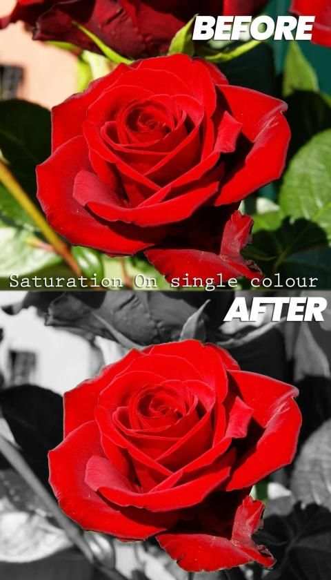 Ultra Photo Editor स्क्रीनशॉट 2