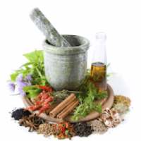 Herbal Medicines on 9Apps