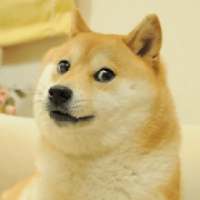 2# Stickers WhatsApp Pack Animais Engraçados