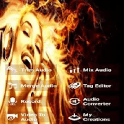 ikon Audio Magic Editor - All Types**