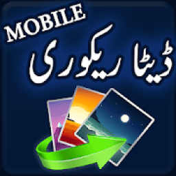 ikon Data Recovery Mobile Phone Memory