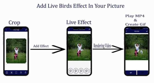 Bird Live Photo Editor स्क्रीनशॉट 1