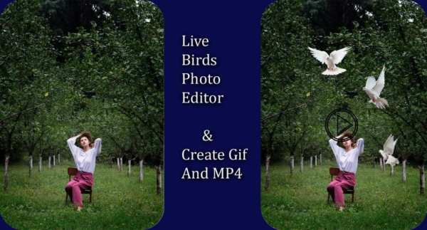 Bird Live Photo Editor स्क्रीनशॉट 2