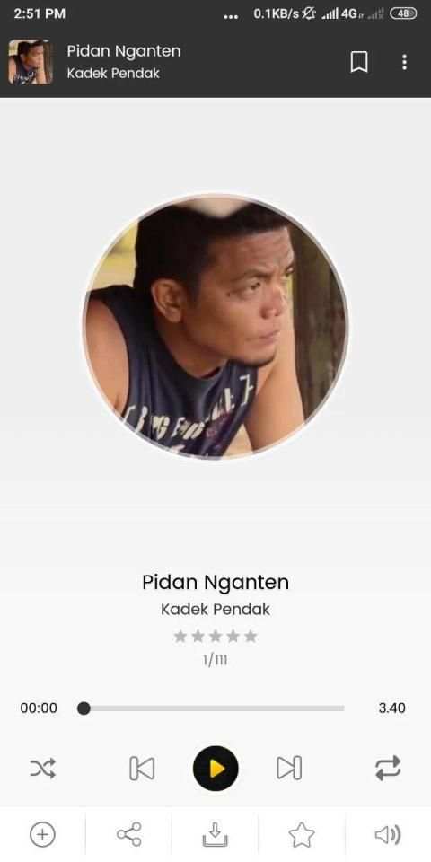 Musik Bali screenshot 4