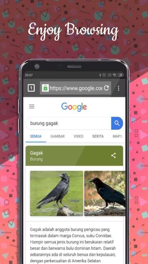 Unblock Browser Lite ( Unblock Site ) screenshot 2