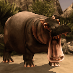 ikon Ultimate Hippo Simulator