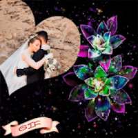 Love Romantic Photo Frames GIF