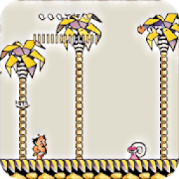 Island Boom Collection Nes icon