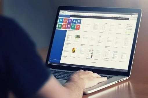 Caalin Online скриншот 6