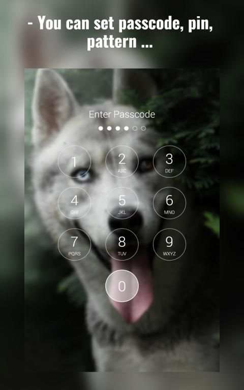 Siberian Husky Lock Screen स्क्रीनशॉट 1