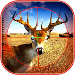 Deer Hunting 2019: African Deer Hunter