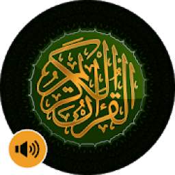 Audio Quran - Pakistani Reciters