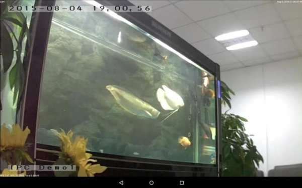 P2PLiveCam screenshot 7
