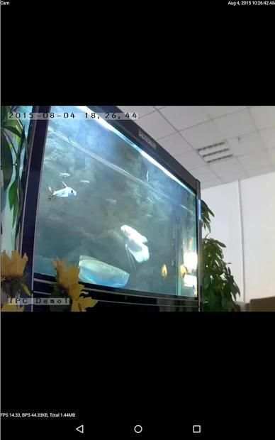P2PLiveCam screenshot 2