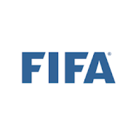 FIFA Interpretation icon