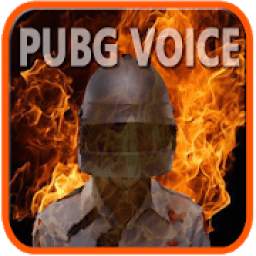 PUBG VOICE 1.3
