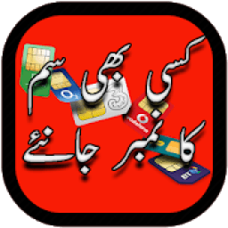 Sim Card Number Check Of All Pakistani Network आइकन