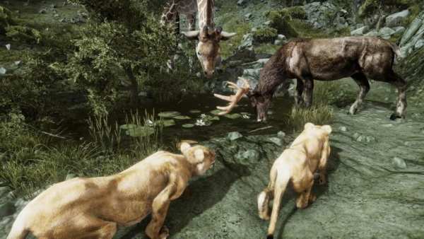 Ultimate Lioness Simulator screenshot 8
