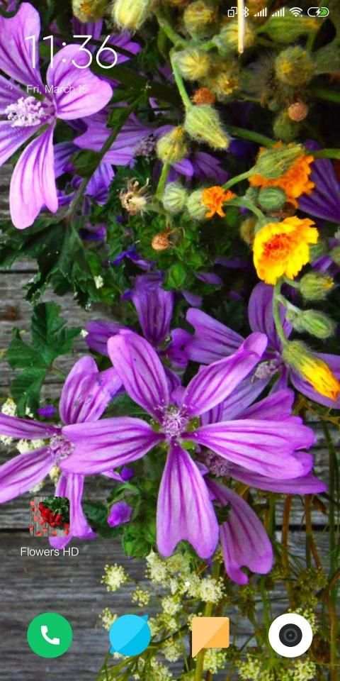 Flowers HD Wallpaper screenshot 2