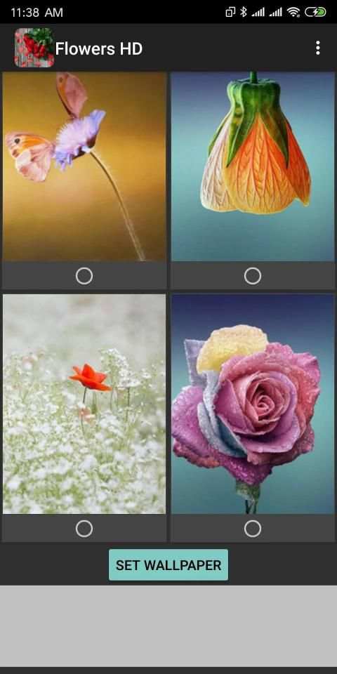 Flowers HD Wallpaper screenshot 1
