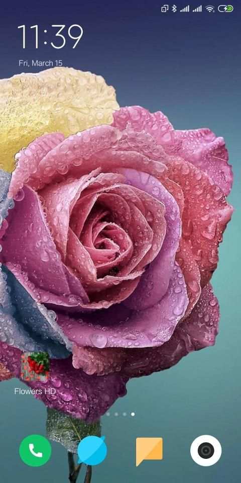 Flowers HD Wallpaper screenshot 3