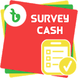 BD Survey Cash आइकन
