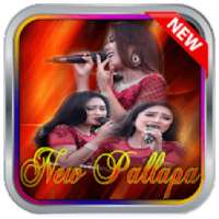 New Pallapa Konser