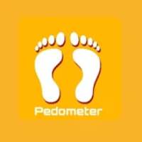 Pedometer