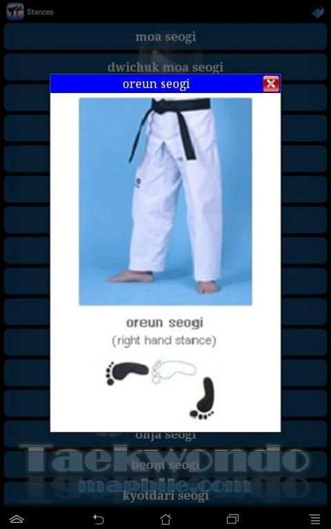 Taekwondo ITF screenshot 4