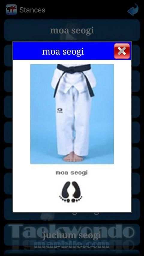 Taekwondo ITF screenshot 7