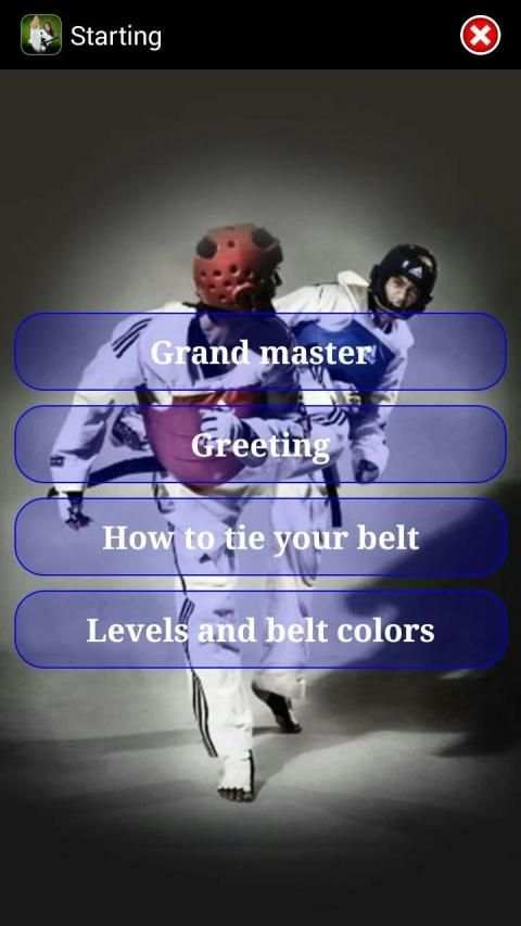 Taekwondo ITF screenshot 9