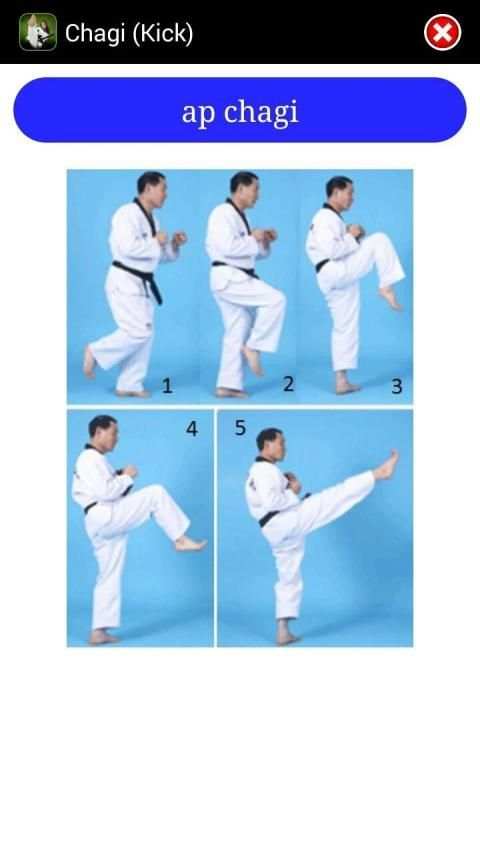 Taekwondo ITF screenshot 5