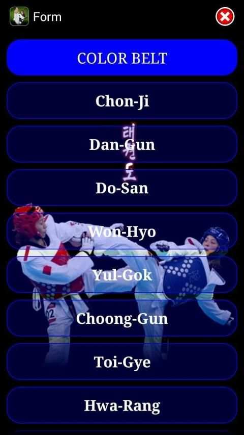 Taekwondo ITF screenshot 8