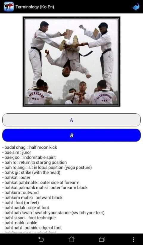 Taekwondo ITF screenshot 1