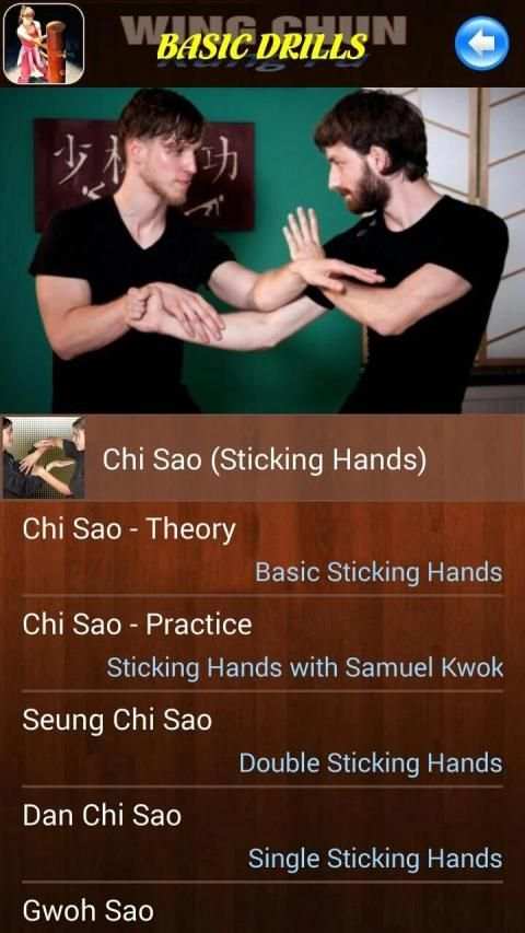 Wing Chun Kung Fu screenshot 7