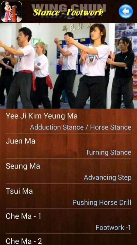 Wing Chun Kung Fu screenshot 8