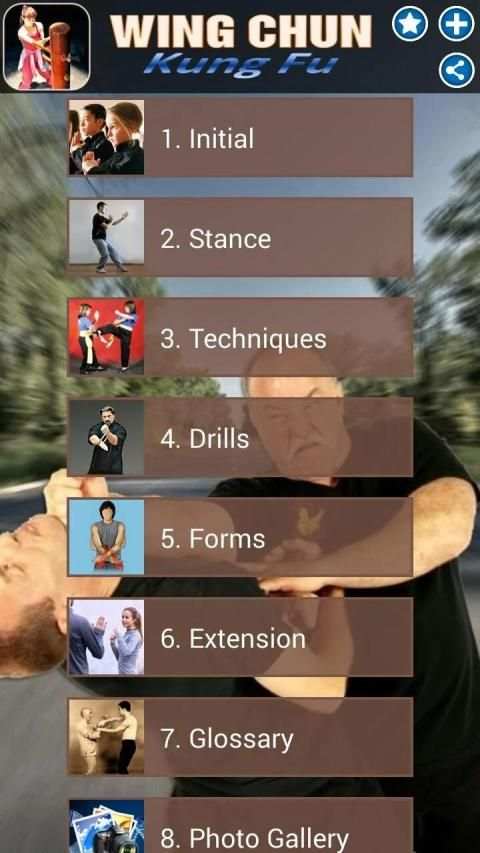 Wing Chun Kung Fu स्क्रीनशॉट 11