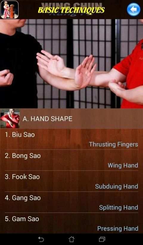Wing Chun Kung Fu screenshot 3