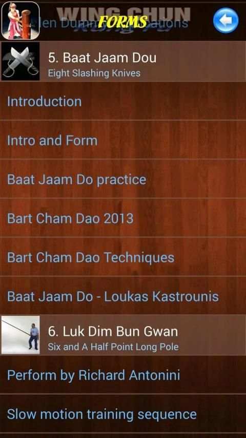 Wing Chun Kung Fu स्क्रीनशॉट 6
