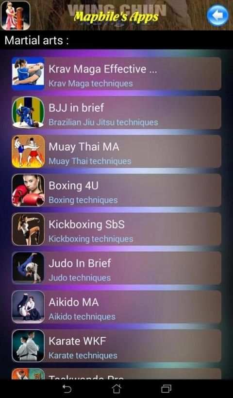 Wing Chun Kung Fu screenshot 1
