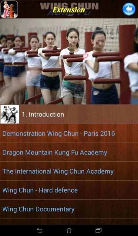 Wing Chun Kung Fu स्क्रीनशॉट 2