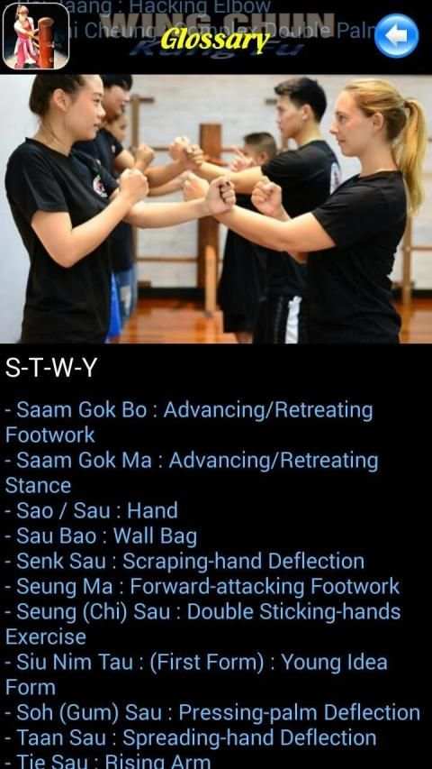 Wing Chun Kung Fu स्क्रीनशॉट 9