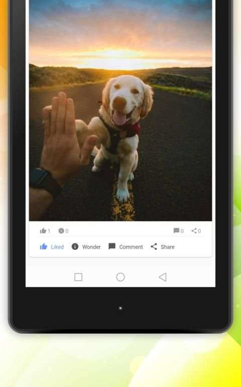 भारत सामाजिक - वीडियो, स्थिति और कॉल screenshot 5