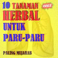 Tanaman Herbal Untuk Paru-Paru Paling Ampuh on 9Apps