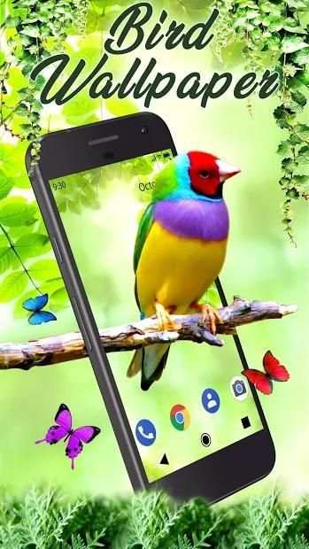 Bird APUS Live Wallpaper screenshot 3