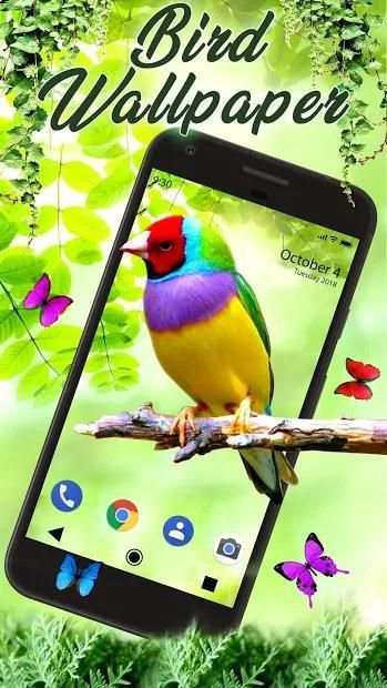 Bird APUS Live Wallpaper screenshot 2