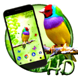 ikon Bird APUS Live Wallpaper