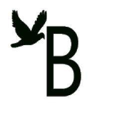 Mini Begeni Plus icon