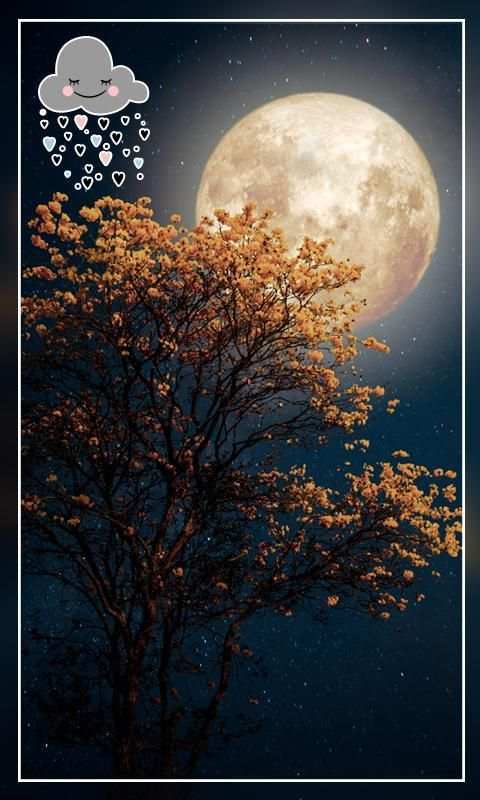 Moon Light Live Wallpaper स्क्रीनशॉट 4