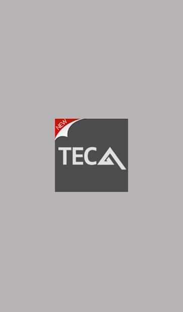 TECA MP3 screenshot 4